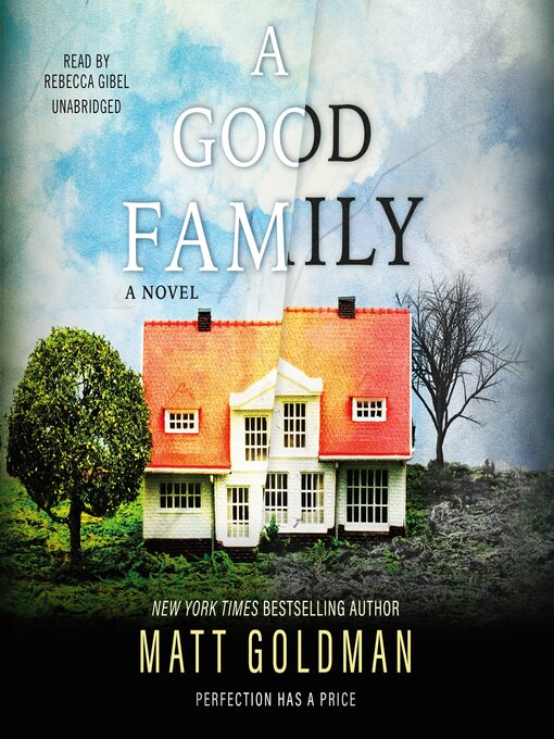 Title details for A Good Family by Matt Goldman - Wait list